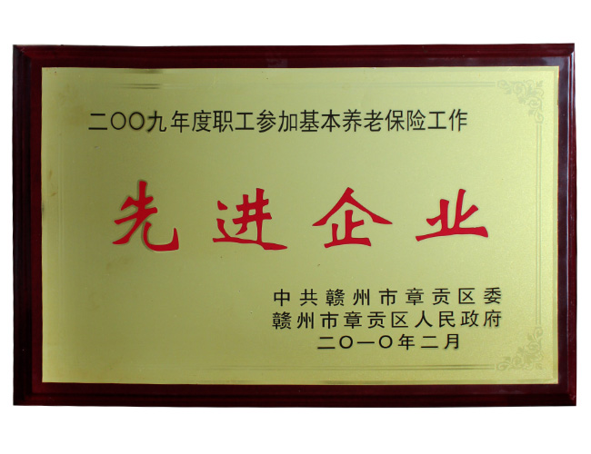 2009年榮獲先進企業(yè)