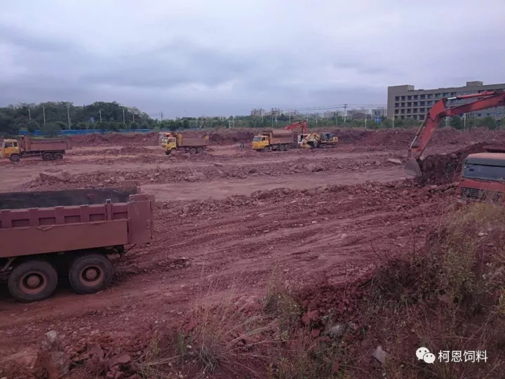 柯恩牧業總部基地破土動工——柯恩事業發展譜新篇