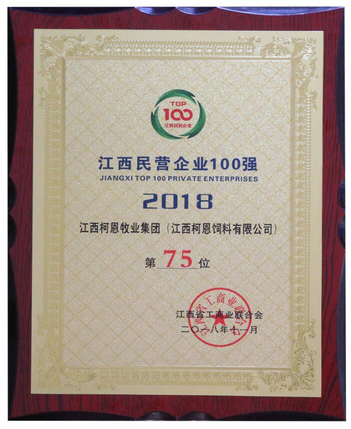 2018年江西民營企業100強