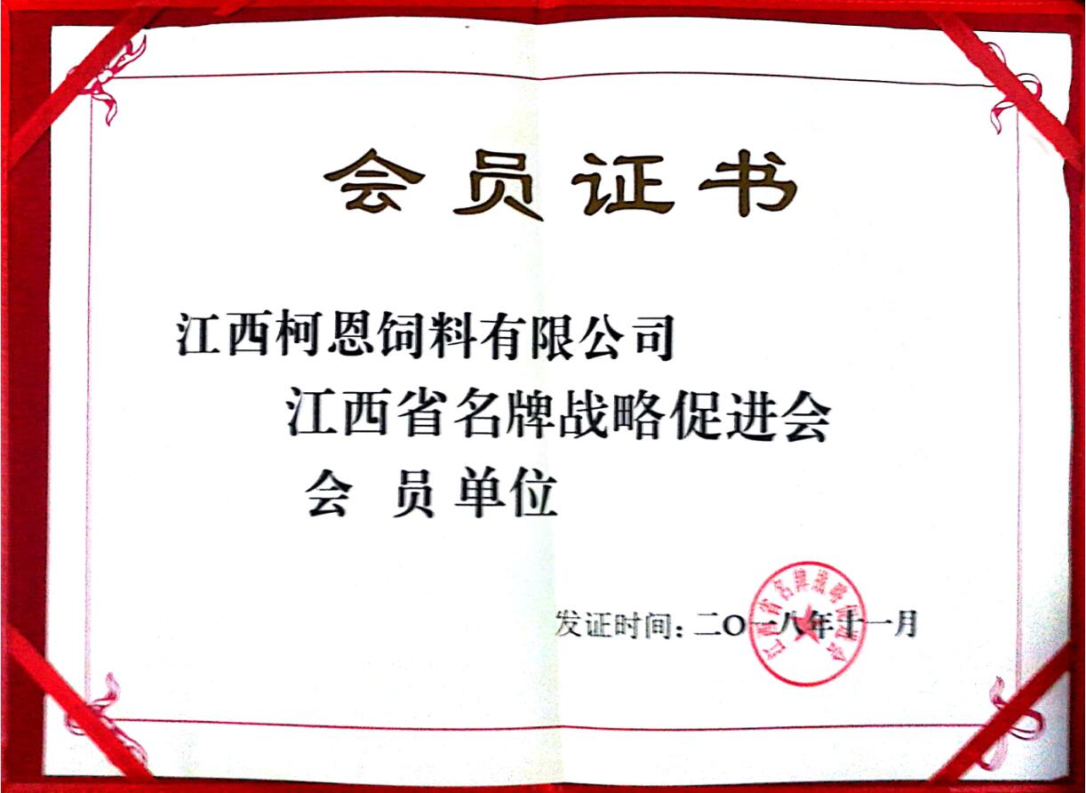 江西省名牌戰略促進會會員單位