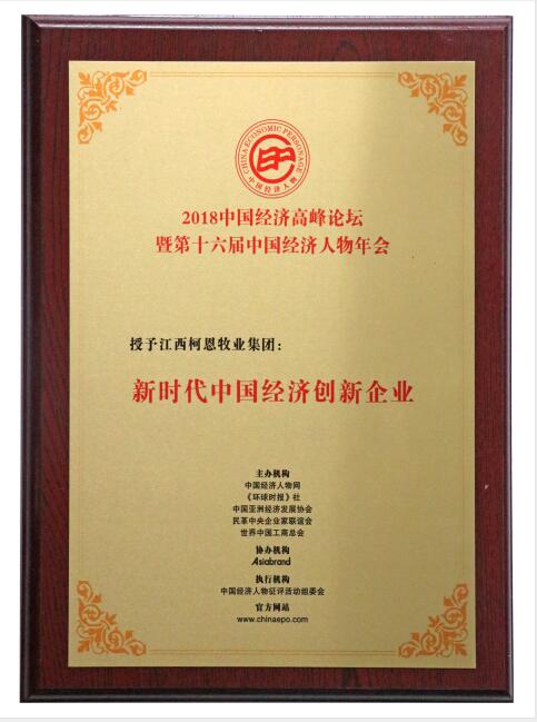 新時代中國經濟創新企業(牌匾)
