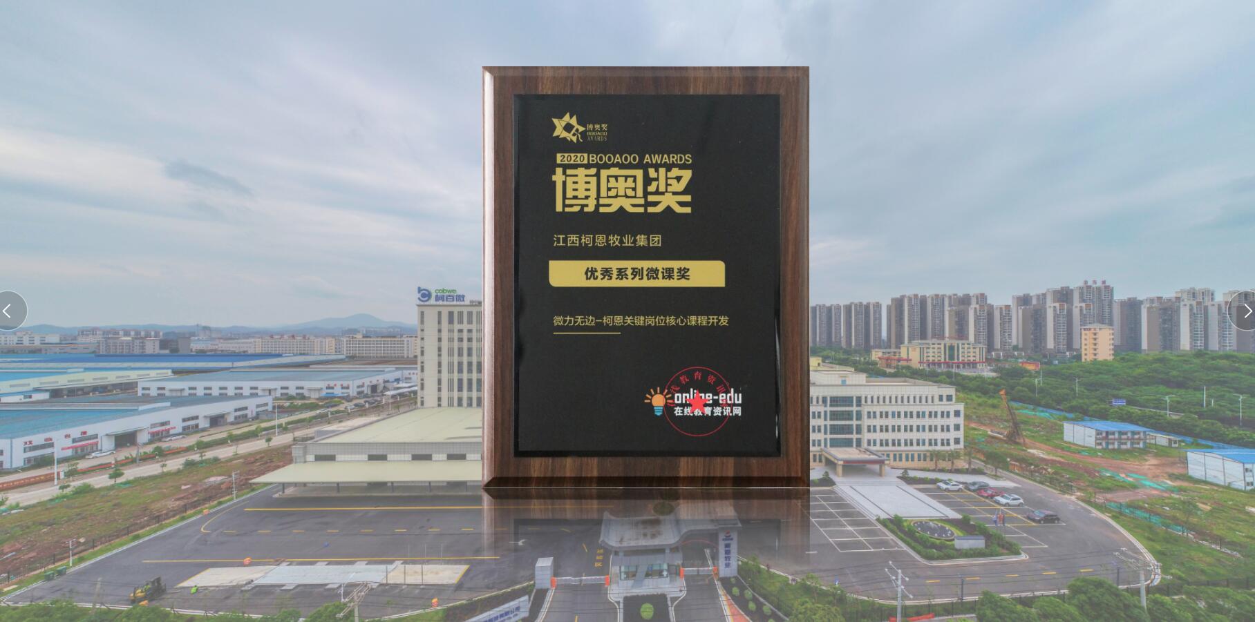 博奧獎-優秀系列微課獎