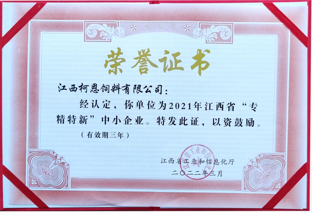 2021年江西省專精特新中小企業(yè)證書
