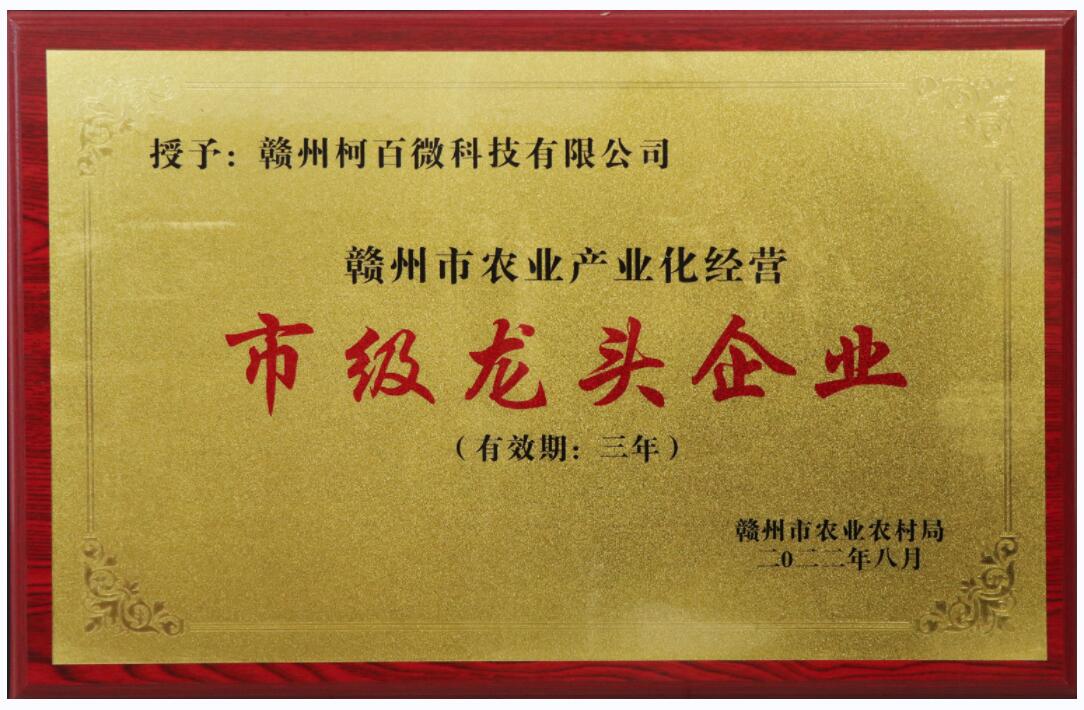 農(nóng)業(yè)產(chǎn)業(yè)化經(jīng)營市級龍頭企業(yè)（柯百微）